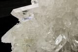Phenomenally Clear Quartz Crystal Cluster - Brazil #212485-3